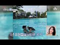 하준이 직접 구조했던 운명의 단짝 반려견 로키 강아지 사랑 남다른 하준의 유기견 봉사♥ 신랑수업 53 회