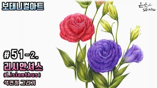 Lisianthus drawing 리시안셔스 그리기 (Flower Drawing / 보태니컬아트 꽃그림 / Botanical Art / 색연필 꽃그림 배우기 / #51-2)