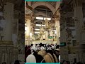 Women are going to pray at Masjid Nabawi in Riyadh al jannah