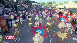 #EnVivo Batalla de Flores de Santo Tomás 2025