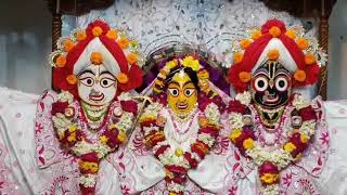 শ্রীকৃষ্ণ চৈতন্য প্রভু দয়া করো মো‌রে Swamibag ISKCON Temple,Dhaka