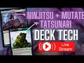 Tatsunari, Toad Rider | Budget Deck Tech Live | Commander EDH Magic the Gathering