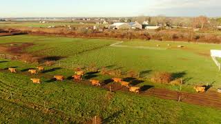 Mecox Dairy Farm and Bridge Lane by Hamptons Drone 11.28.20