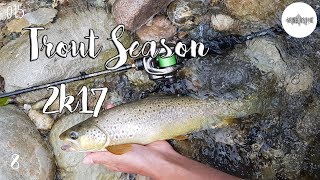 Angeln auf Bachforelle | Fishing for Brown Trout | Trout Season 2017 VIII