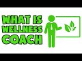 What is Wellness Coach | Explained in 2 min