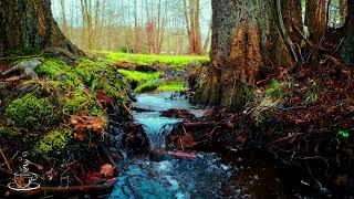 【BGM】Relaxing Song☕川のせせらぎと優しい音楽♪The　murmur of a river ♪