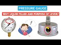 Why Liquid filled in  Pressure gauge&Why Plug in Top side?