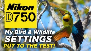 Nikon D750 | My BIRD & WILDLIFE Settings | Put to the TEST!