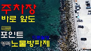 내항 & 외항은 물론 인근 갯바위에 주자창 앞까지 모두 특급 포인트, 영덕 노물방파제