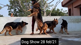 Ayodhya Dog Show - 28 Feb 2021 - Sadar Bazar Cantonment