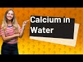 Does borehole water contain calcium?