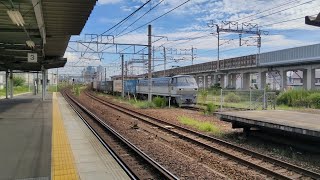 [EF66サメ代走] 9月19日枇杷島駅 新鶴見A275運用 3075レ EF66 127