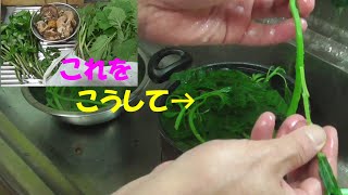 【春きのこ＆山菜料理】チクチク痛い山菜アイコを処理して食べる