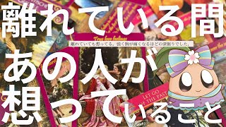 【神経すり減る超神回】あの人の気持ちを限界まで深掘りして占った結果、心が痛くなる本音が出てきました。2024年もありがとうございました🌸🌰