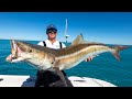 ABANDONED Millitary Towers LOADED with Fish! Catch Clean Cook- Cobia