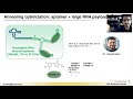 targeted delivery using aptamers