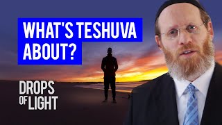 What is Teshuva About? (60 Sec) Rabbi Aharon Pessin