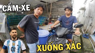 Ông chủ trại cá Betta theo Anh Tư xuống xác mùa World Cup và cái kết cầm xe te tua