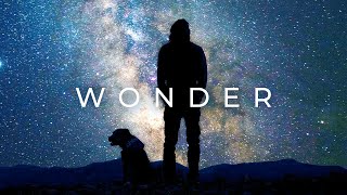 Alan Watts - Wonder