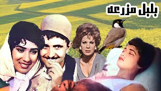 فیلم زیبای عاشقانه بلبل مزرعه - نسخه رنگی و بدون سانسور