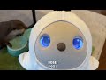 カワウソと最先端ロボ「らぼっと」のやりとりが面白すぎた　Otters Meet AI Robot LOVOT