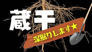 【四柱推命】蔵干★深掘りします#四柱推命 #蔵干