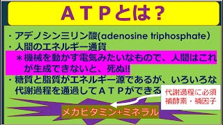 人間のエネルギー通貨AＴＰ(アデノシン三リン酸)