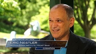 79th Symposium - Cognition - Nestler