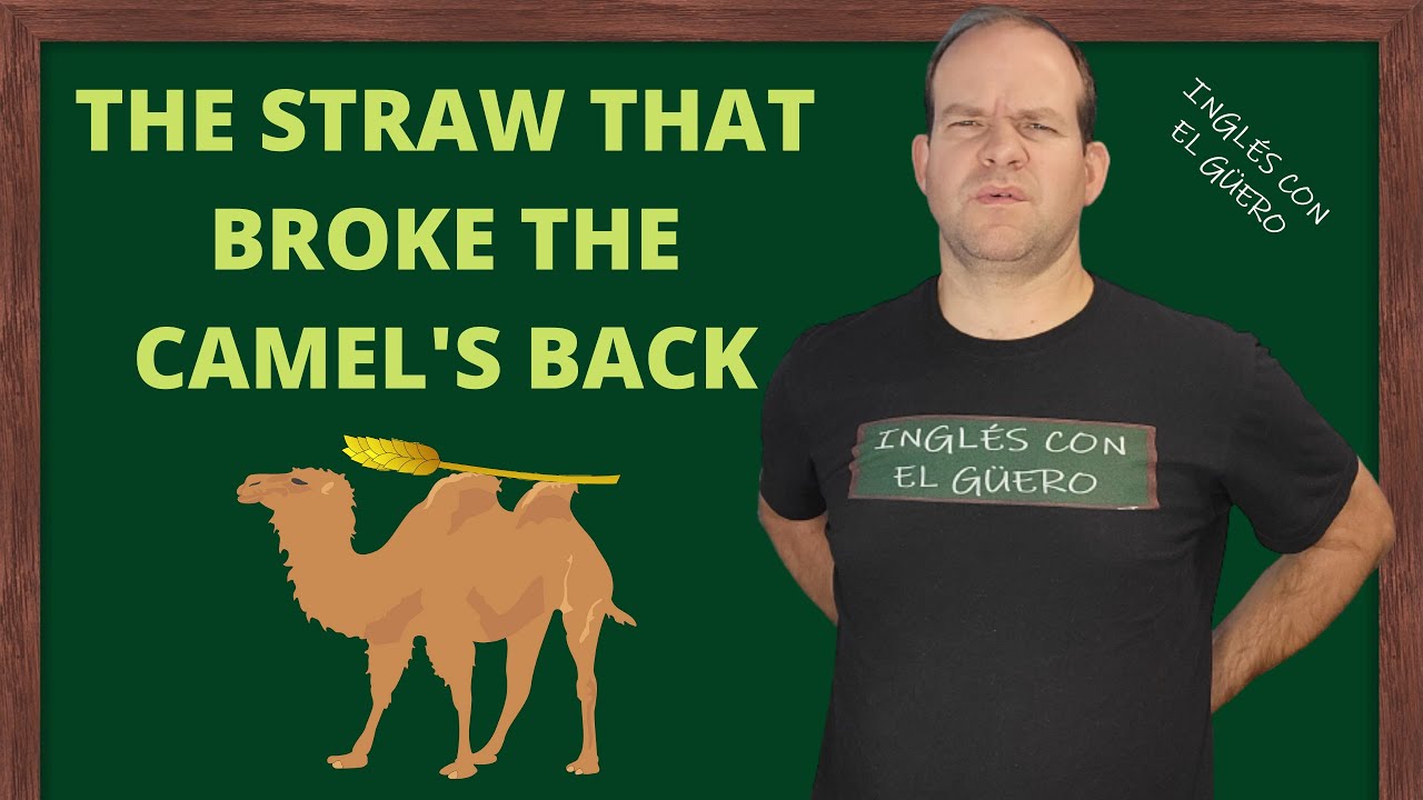 Straw That Broke The Camel S Back Synonym At Roy Alicea Blog