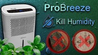 Pro Breeze Dehumidifier - Does it Really Help?! How to get rid of the damp and unwanted moisture?