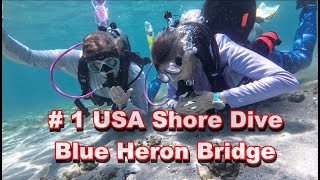 Blue Heron Bridge Magic with divers from around the World, uniting at USA’s #1 Shore Dive Adventure