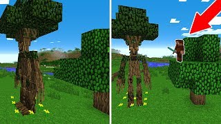 FAKİR AĞAÇTAN ADAM BULDU! 😱 - Minecraft