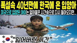 40년만에 폭설이 내리는 한국으로 돌아간 미국 입양아의 가슴시린 이야기.