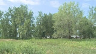 Outer Harbor Development plans moves forward