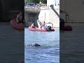 paris mayor anne hidalgo swims in the river seine to prove it s safe