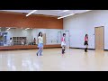 Get What I Want - Line Dance (Demo)