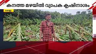 വില്ലനായി മഴയും കാറ്റും; ഒടിഞ്ഞുവീണത് അയ്യായിരത്തോളം വാഴകൾ! കൊല്ലത്ത് നാശം വിതച്ച് മഴ | Kollam Rain