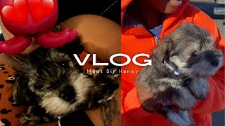 Vlog: We got a dog + Excuse my language + Self Care Gifts