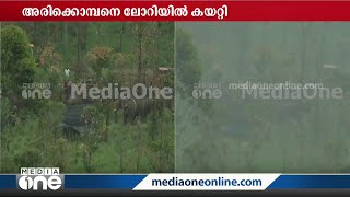 ഒടുവിൽ കയറി: അരിക്കൊമ്പൻ ലോറിയിൽ, ദൗത്യം വിജയത്തിലേക്ക്