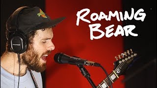 Roaming Bear | The Hive | Session 1