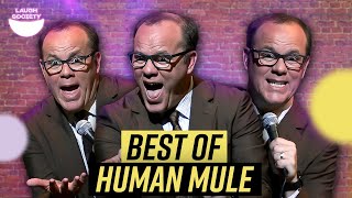 Best of Tom Papa - Human Mule