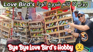 Lalukhet Birds Market 2025 Latest Update  Lalukhet Sunday Birds Market Latest 2025 Update @SYEDBIRDS