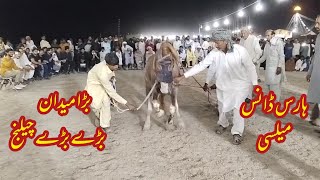 ہارس ڈانس گھوڑا نائچ میلسی گھوڑے نے چیلنج کر دیا بڑے میدان میں بڑا پاور واہ گھوڑا واہ بہت اچھے