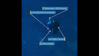 Introducing HROV Mesobot: Midwater Maverick | Nautilus Live #shorts