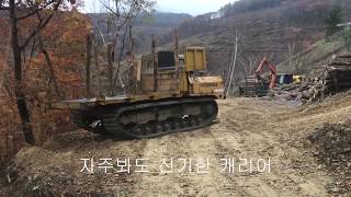 [극한직업] 산판현장 국유림 참나무 구입하러 깊은산속 해발 1150M 숲속의 힐링