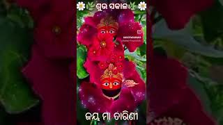 ମାଁ ତାରିଣୀ