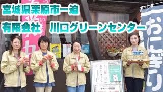 【ぶらっとふるさと探訪】有限会社　川口グリーンセンター