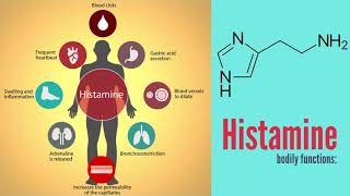 Why Test for Zonulin and Histamine From Infinite Allergy Labs