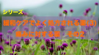 第30回シリーズ／緩和ケアでよく処方される薬(3)痛みに対する薬　その2