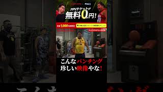 ヤバすぎる！パンチングマシーン！ノッコン寺田・キムジェフン・ポーランドの刺客！ベスト10！10位〜1位も見れる！ブレイキングダウン9 切り抜き BreakingDown9 #shorts